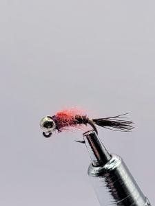 Pink Scud Fly Tungsten Head - Lot of 6