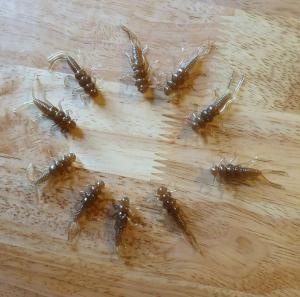 40 Stonefly Nymphs in 10 Colors for Trout