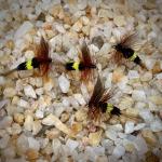 Bee Fly Nymphs - 6pc Wet Trout Flies
