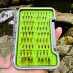 72 Tungsten Bead Barbless Nymph Flies Box