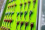 72 Tungsten Bead Barbless Nymph Flies Box