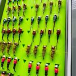 72 Tungsten Bead Barbless Nymph Flies Box