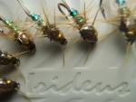 Irideus Crane Fly Bead Head Nymphs for Trout
