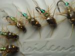 Irideus Crane Fly Bead Head Nymphs for Trout