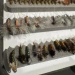 C&F Design 130+ Assorted Bead Head Nymphs