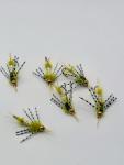 Golden Beadhead Sparkle Stonefly Nymphs #8 - 6 Pack