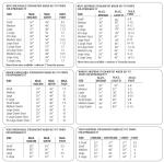 Caddis Breathable XL Stout Chest Wader