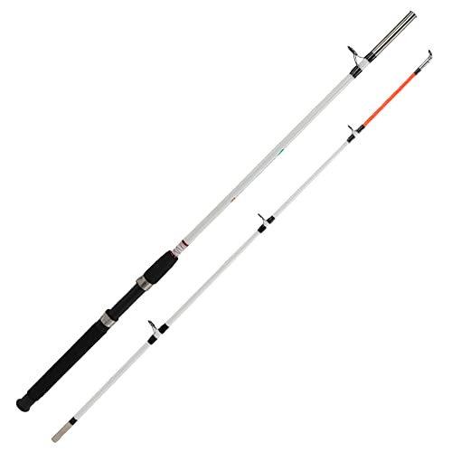 Berkley 8' Big Game Spinning Rod for Trout Fishing