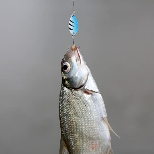12pc Colorful Fishing Spinner Hard Baits for Trout