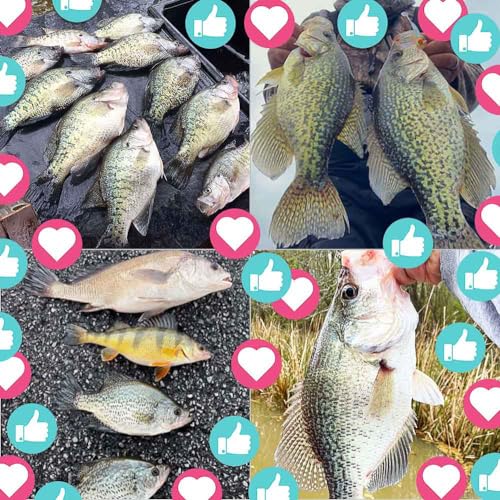 XFISHMAN Crappie Marabou Hair Jigs Panfish Trout Kit