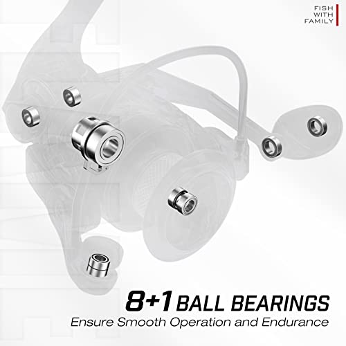 Piscifun Flame Spinning Reel, Lightweight 9+1BB Trout Fishing