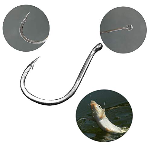 BiaoGan 500PCS Assorted Fishing Hooks, 10 Sizes with Box