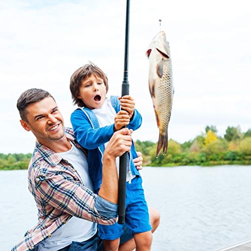 BiaoGan 500PCS Assorted Fishing Hooks, 10 Sizes with Box