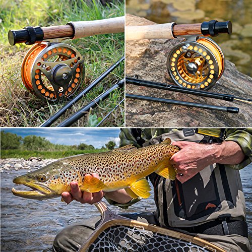 Large Arbor Fly Fishing Reel 2+1 BB in Alloy