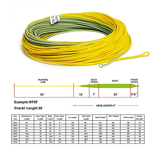 Gold Fly Line: 90FT Weight Forward Floating