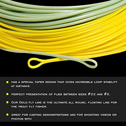 Gold Fly Line: 90FT Weight Forward Floating