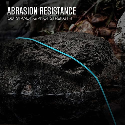 Piscifun Sword Fly Fishing Line WF5wt, 100FT Sky Blue