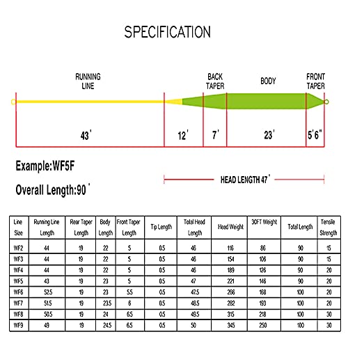 Gold Fly Line: 90FT Weight Forward Floating