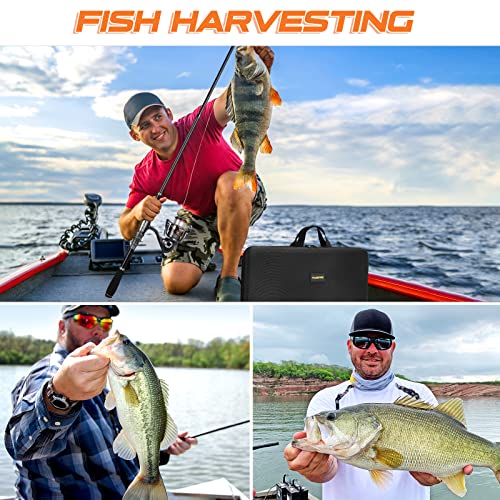 PLUSINNO Telescopic Fishing Kit: Carbon Pole, Stainless Reel