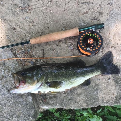 Kylebooker Fly Fishing Combo Kit 3wt 7‘6“ Rod