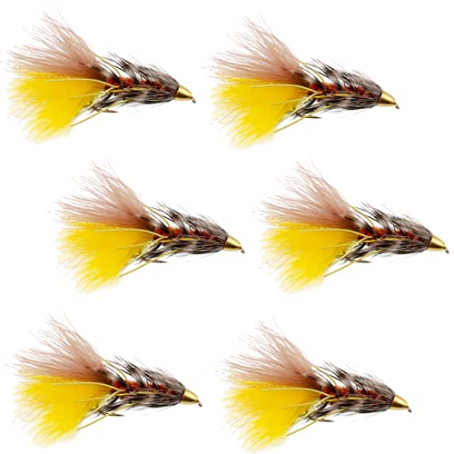 Conehead JJ Special Bugger Trout Streamers - Set of 6