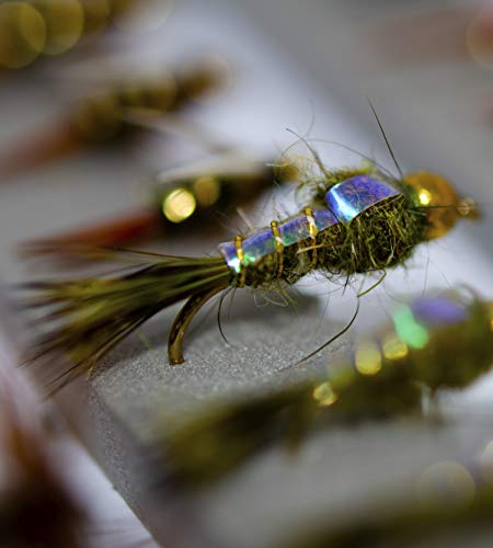 Outdoor Planet 50 Premium Trout Fishing Flies Assortment