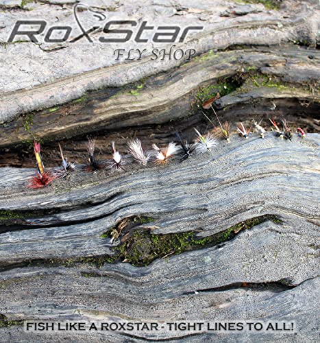 RoxStar Fly Shop Trophy Trout 24pk: Top Flies