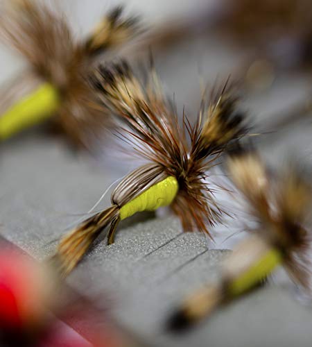 Outdoor Planet 50 Premium Trout Fishing Flies Assortment