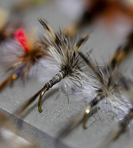 Outdoor Planet 50 Premium Trout Fishing Flies Assortment