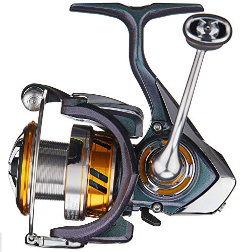 Daiwa Regal LT Spin Reel RGLT2000D - Blue