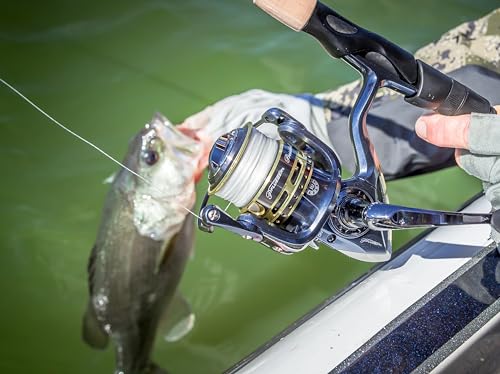 Pflueger President Spinning Reel - Size 20 - Graphite