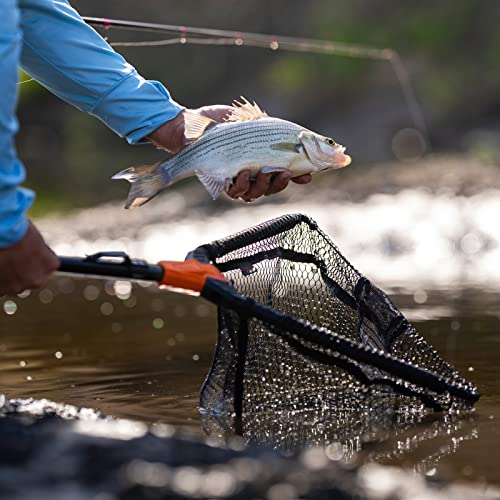 KastKing Pontus Foldable Trout Landing Net, Lightweight & Portable