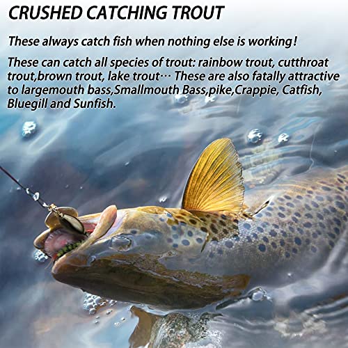 Trout Fishing Lures: Spinners, Bait, and Bass Kit