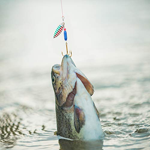 Trout Fishing Lures Set with Tackle Box