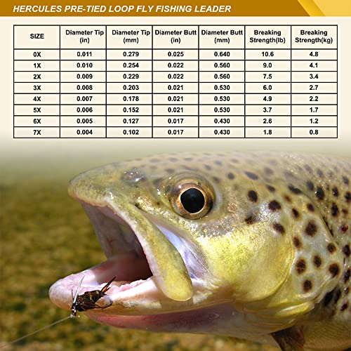 HERCULES Pre-Tied Trout Fly Fishing Leaders 6 Pack