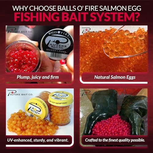 Pautzke Balls O' Fire Trout Bait - Green Label