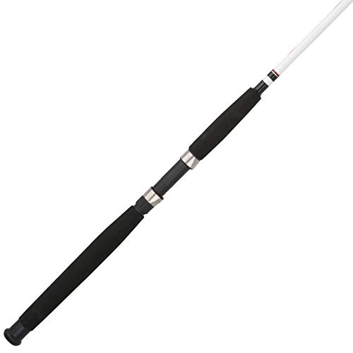 Berkley 8' Big Game Spinning Rod for Trout Fishing