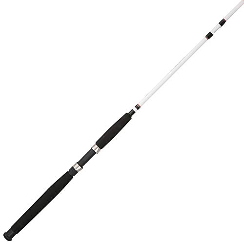 Berkley 8' Big Game Spinning Rod for Trout Fishing