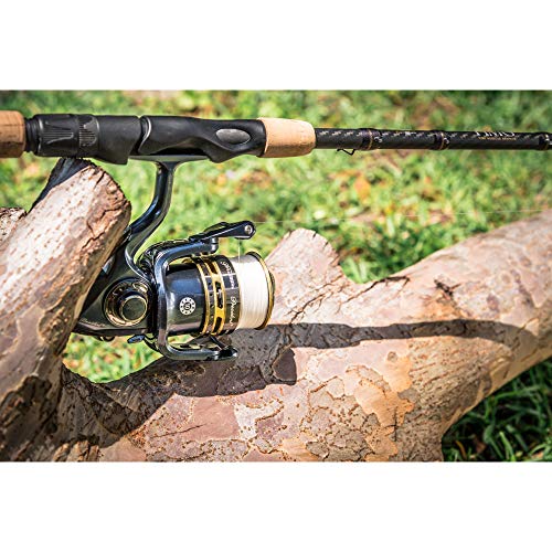 Pflueger President Spinning Reel - Trout Fishing