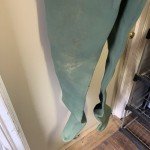 Orvis 3mm Neoprene Chest Waders for Men