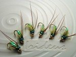 Irideus Olive Caddis Custom Fly for Trout