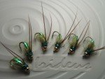 Irideus Olive Caddis Custom Fly for Trout