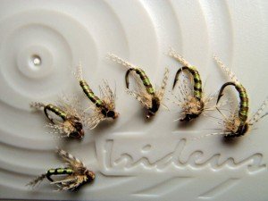 Irideus Blue Wing Olive Steelhead Trout Nymph