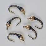 Chocolate Gold Zebra Midge Tungsten Nymphs for Trout