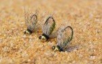 Buggy Olive Jig Flies - Tungsten Bead, 6 Pack