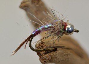 Brass Bead Rainbow Warrior Midge Fly (12 Pack)