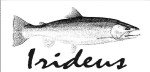 Irideus Mutant Caddis BWO Trout Flies