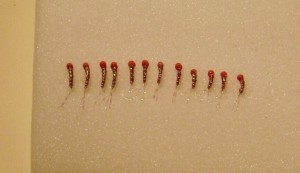 1 Dozen Beadhead Red Zebra Midge Nymphs 18-20