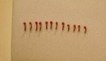 1 Dozen Beadhead Red Zebra Midge Nymphs 18-20