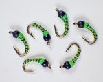 Zebra Midge Tungsten Nymphs for Trout Fishing
